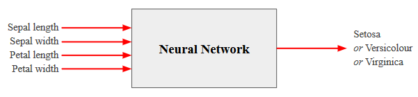 Iris neural network