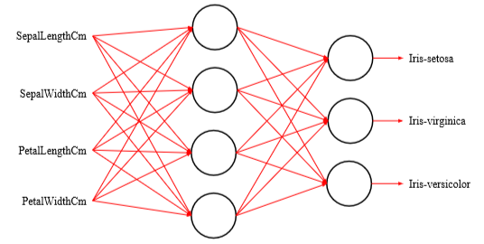 Network structure